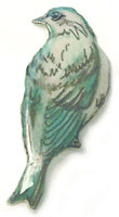 bluebird pin