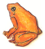orange frog pin 